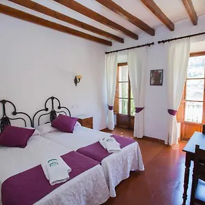 Verde-adults Only Deia
